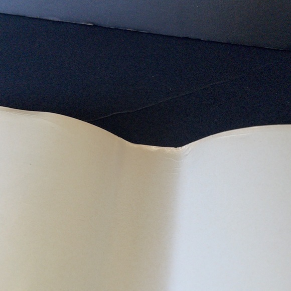 Entertaining Canadians Canada’s International Stars 1900-1988 Ed Gould Book - Picture 15 of 15